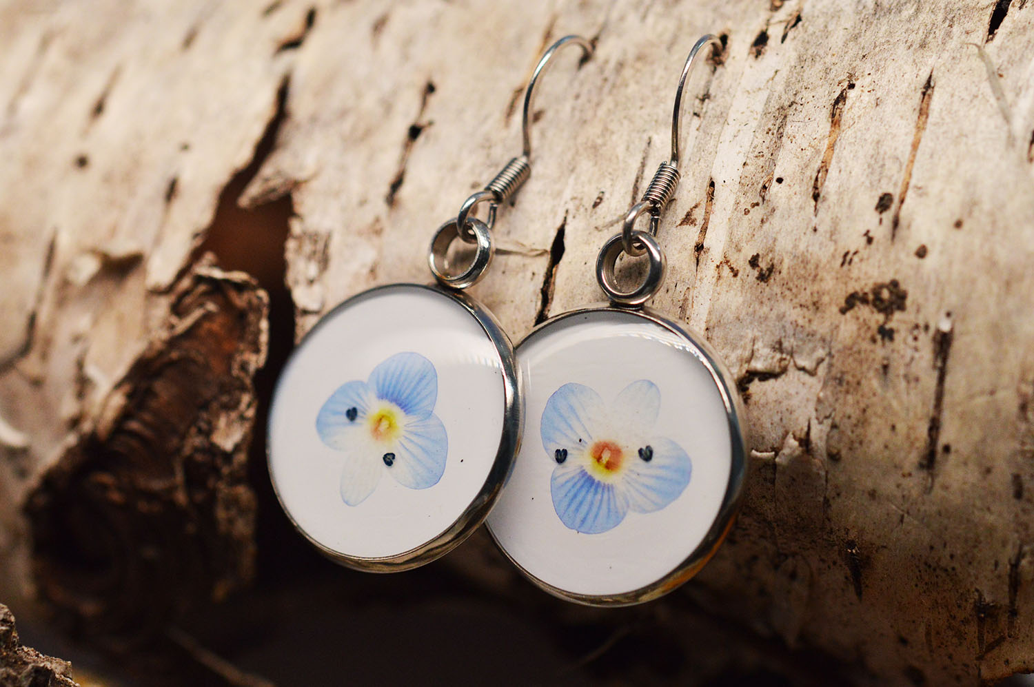 Cercei inox Veronica Peduncularis