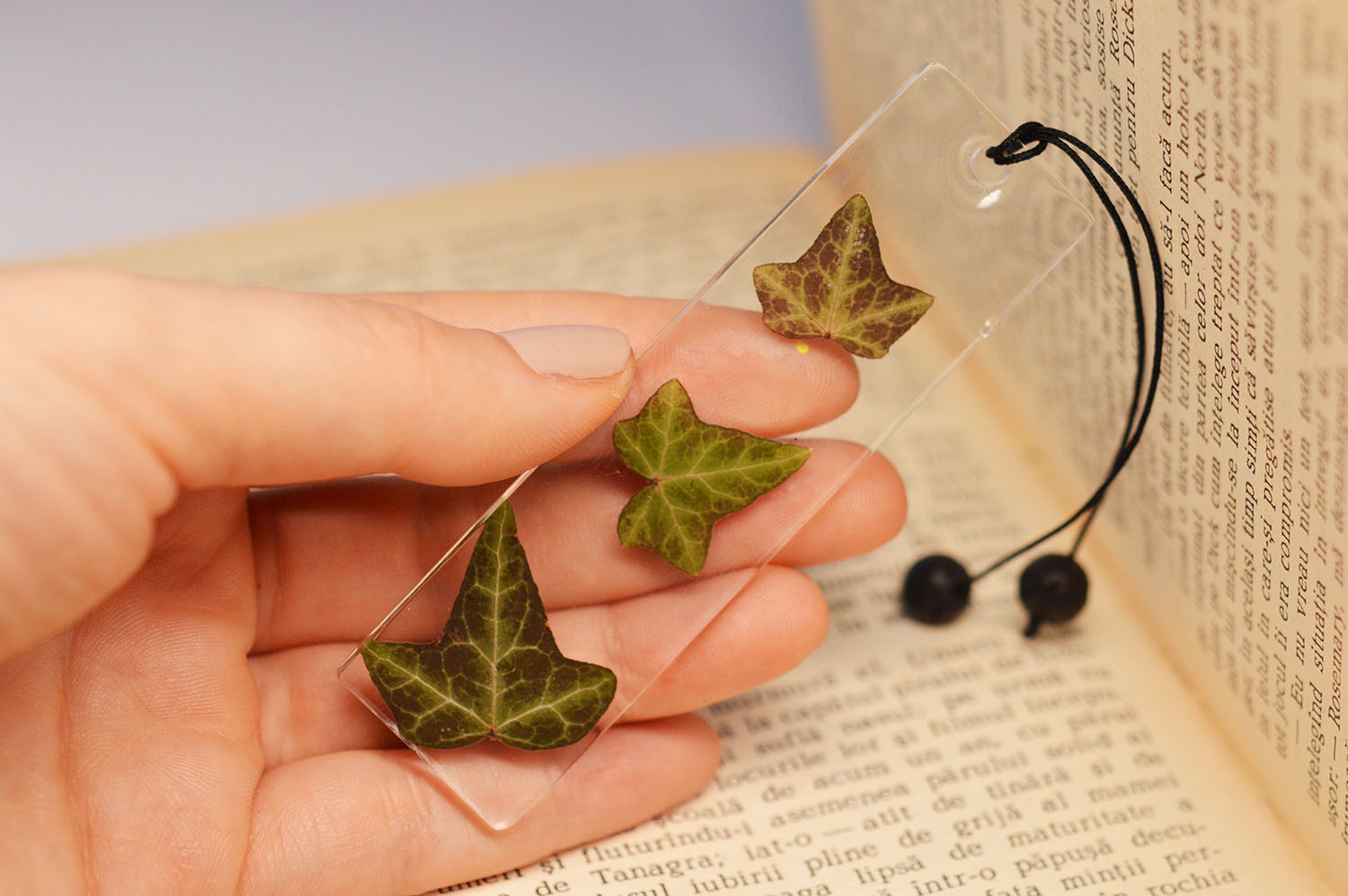 Semn Carte Iedera Naturala