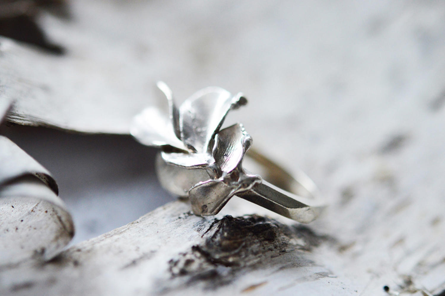 Inel argint Tropical Leaves