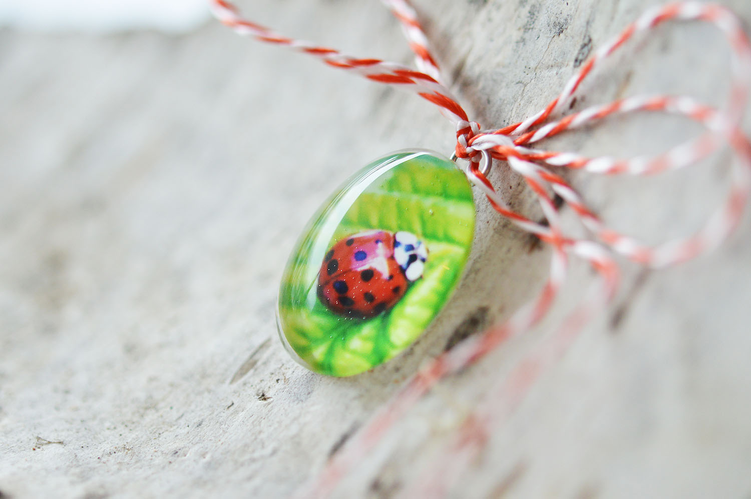 Martisor charm Buburuza