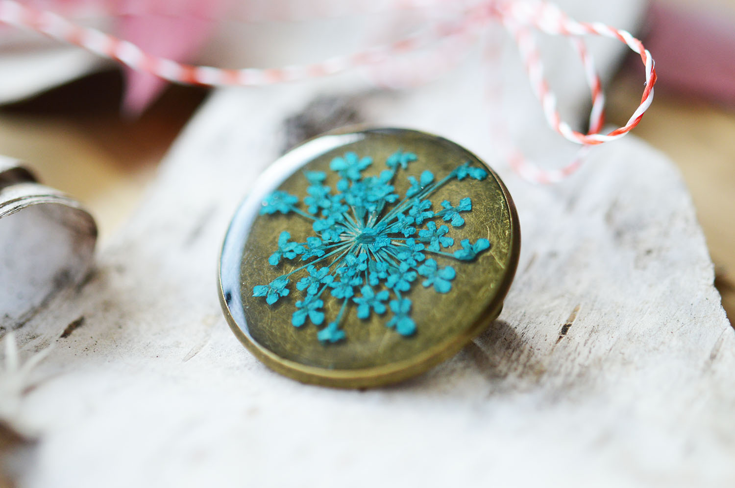 Martisor brosa Blue Daucus (floare naturala)