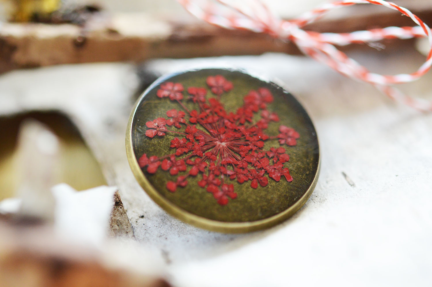Martisor brosa Red Daucus (floare naturala)