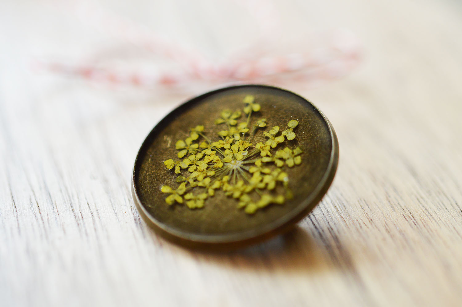 Martisor brosa Yellow Daucus (floare naturala)
